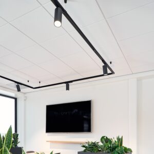 Huginn R LED railspots project 3