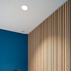 Milan LED reflector downlights