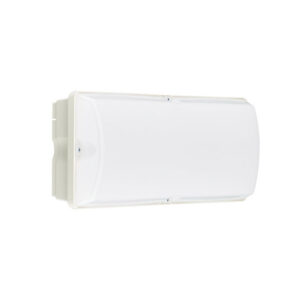 Philips LED portiek LEDinaire WL055V