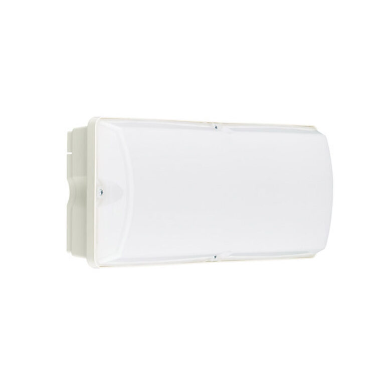 Philips LED portiek LEDinaire WL055V