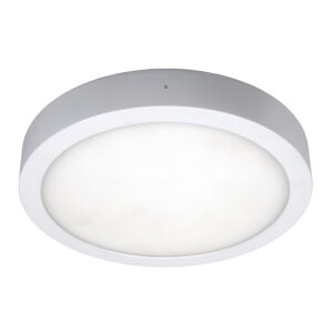 Moon LED opbouw 18W 1800lm 2700K/3000K/4000K ø240mm IP54 wit - nood